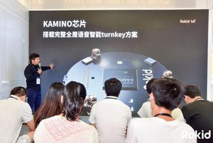 Rokid引領(lǐng)全屋智能語音化新紀元 AI人工智能產(chǎn)品技術(shù)的創(chuàng)新開發(fā)與應用